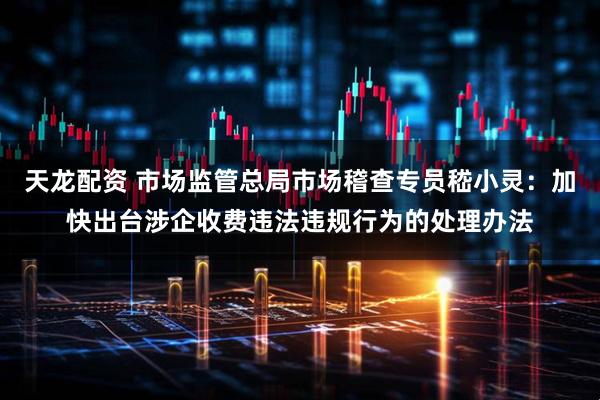 天龙配资 市场监管总局市场稽查专员嵇小灵：加快出台涉企收费违法违规行为的处理办法