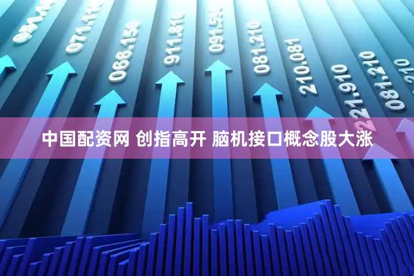 中国配资网 创指高开 脑机接口概念股大涨