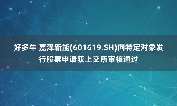 好多牛 嘉泽新能(601619.SH)向特定对象发行股票申请获上交所审核通过