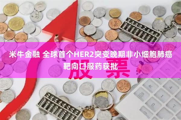 米牛金融 全球首个HER2突变晚期非小细胞肺癌靶向口服药获批
