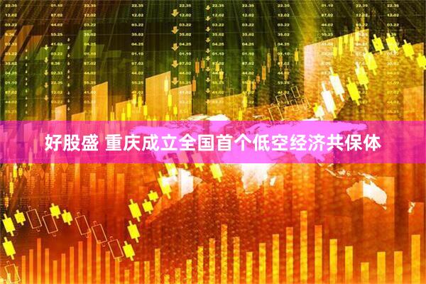 好股盛 重庆成立全国首个低空经济共保体