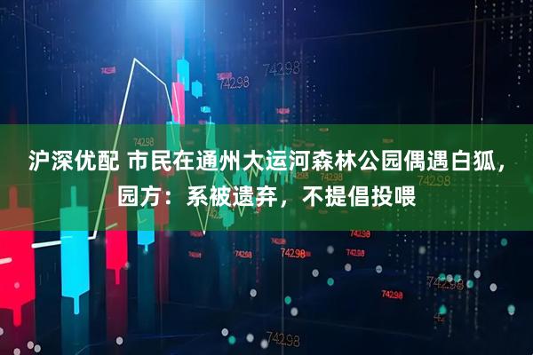 沪深优配 市民在通州大运河森林公园偶遇白狐，园方：系被遗弃，不提倡投喂