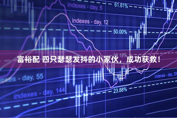 富裕配 四只瑟瑟发抖的小家伙，成功获救！