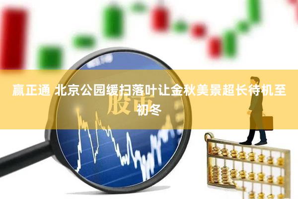 赢正通 北京公园缓扫落叶让金秋美景超长待机至初冬