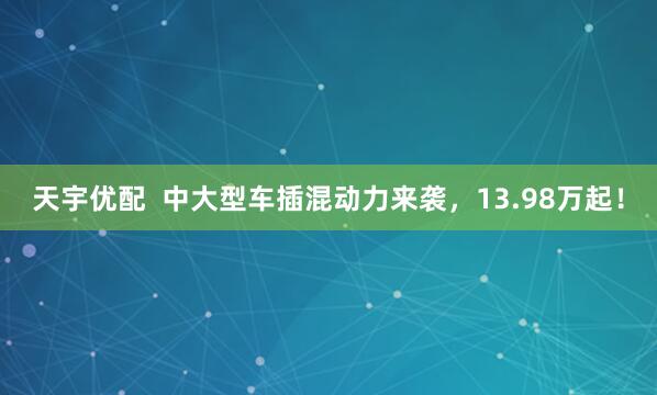 天宇优配  中大型车插混动力来袭，13.98万起！