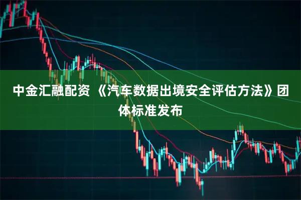 中金汇融配资 《汽车数据出境安全评估方法》团体标准发布