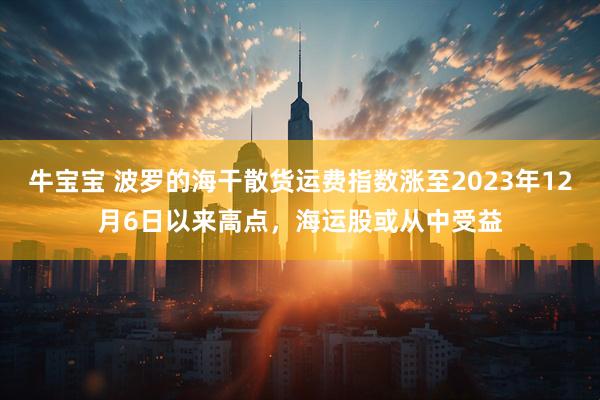 牛宝宝 波罗的海干散货运费指数涨至2023年12月6日以来高点，海运股或从中受益