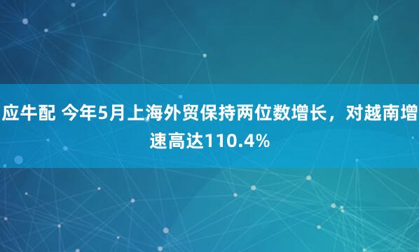 应牛配 今年5月上海外贸保持两位数增长，对越南增速高达110.4%